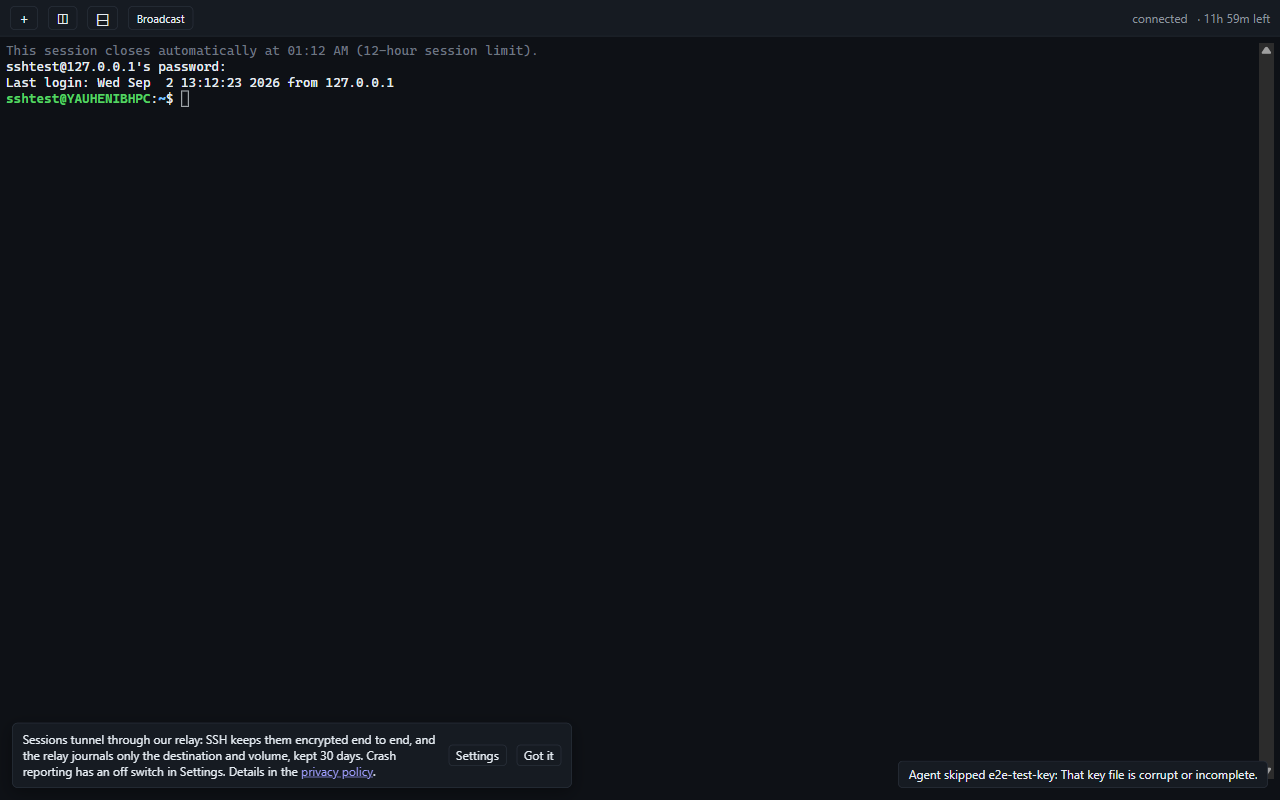 An SSH session open in a browser tab