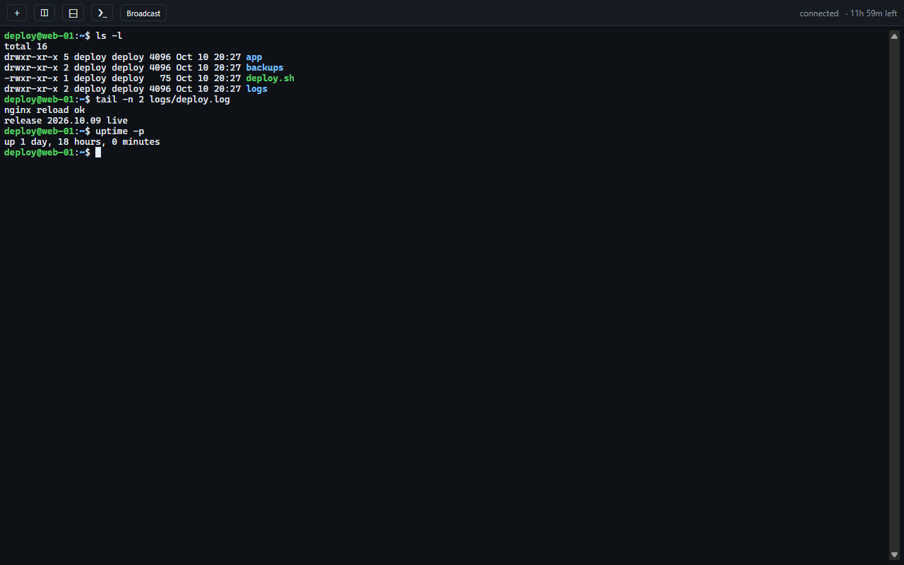An SSH session open in a browser tab